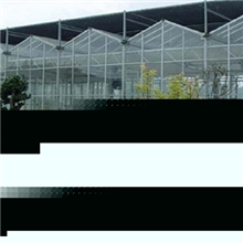 【行业推荐】供应温室大棚【信誉保证品质服务】