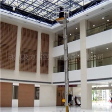 供应专业生产桅杆式升降机(图)