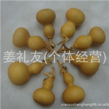 大量批发美国小葫芦自然生长