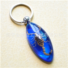 昆虫琥珀钥匙扣钥匙配饰椭圆新品彩色蝎子王创意饰品可混批