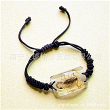 昆虫琥珀手链批发手饰手环BS15系饰品配件琥珀批发琥珀厂