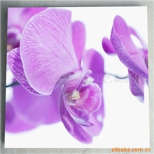 帆布画(内框）数码印刷高清微喷加工,无框画/canvasprinting