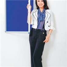 viz-pro亚克力蓝色相框，展示板，防水设计，配套安全锁