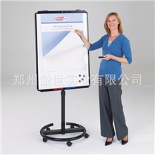 VIZ-PRO新款ECO移动式支架白板挂纸书写双用白板厂家直销