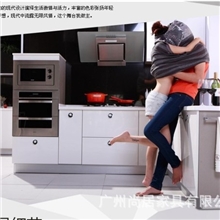 worldfamousluxuryintegratedkitchenfurniturekitchencab