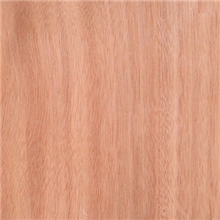 山东鑫森木业供应奥古曼多层板