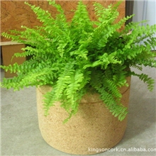 供应纯软木花盆天然环保家居花园必备品