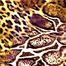 现货供应棉绸数码印花