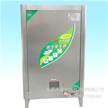 小型蒸汽机发生器全304不锈钢材质燃气蒸汽炉厂家直销保修一年