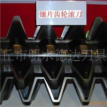 章丘德兴刀具专业生产非标齿轮滚刀