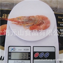 大批供应特色鱼虾蟹贝软类&mdash;阿根廷红虾、原装船冻野生红虾