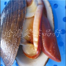 供应冷冻粗加工水产品大连海鲜冻品特产全壳北极贝