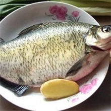 纯天然，无污染，绿色养殖鳊鱼，武昌鱼