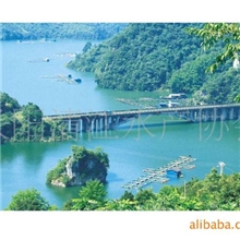 批量销售无公害清江鱼银鱼干