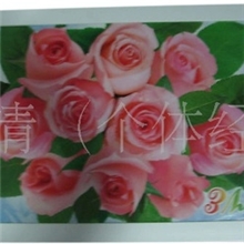 供应电暖器，节能电暖器，远红外电暖器，碳纤维电暖器,