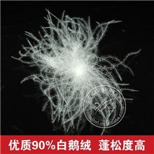 供应90白鹅绒90%白鹅绒厂家供应羽绒绒朵大支持返还拿样费用