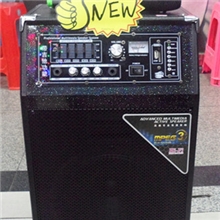 新款12V电瓶音箱，拖箱，双手持无线麦克风音箱，大功率电瓶箱。