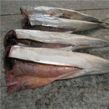 富含多种维生素美味可口竹荚鱼