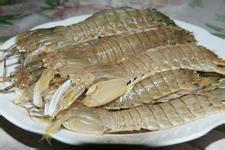 高营养丰富的鲜虾蛄