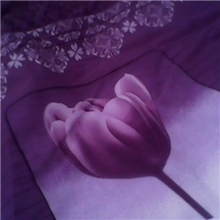 处理精选澳绒小匹印花布，大小磨毛，毛斜一等品批发，昌邑残次布