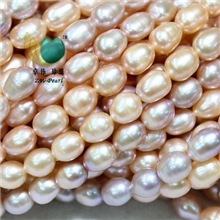 《推荐》卓伟珍珠批发诸暨淡水珍珠AAA级米型项链7-8mm131020