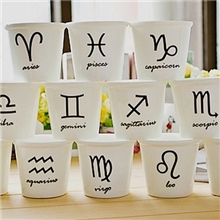 新品zakka十二星座迷你小酒杯动物陶瓷杯牛奶杯十二生肖小杯子