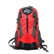 惟念厂家批发定做2012年冬季新款户外40L登山旅行双背包送防雨罩