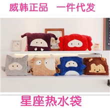 威韩正品新款卡通星座充电热水袋暖手宝暖水袋可拆洗批发