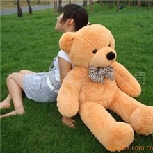 【玩具试销】泰迪熊公仔林嘉欣韩国恋人泰迪熊大抱熊情人节礼物