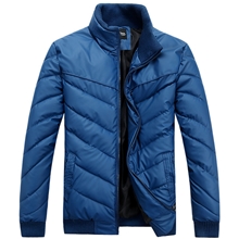 厂家大量批发2013男装秋冬新款男款休闲时尚男士立领保暖棉衣棉服