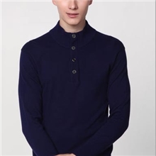 2013秋冬新款男士100%纯羊毛针织衫时尚高端半高领毛衣订货