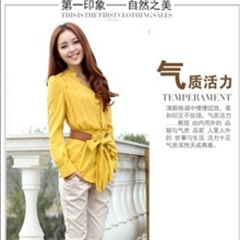 外贸原单2013春夏新款韩版配腰带女式长袖衬衫现货批发有短袖款