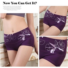 满包邮厂家直销女式内裤女士莫代尔高腰收腹提臀内裤批发