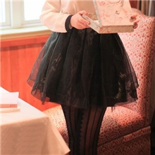 超百搭欧根纱玻璃纱蓬蓬裙半身裙短裙打底裙女裙子批发多色