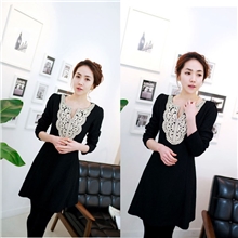 2013韩版秋冬外贸女装新款长袖连衣裙雪纺正品裙服装免费代理186