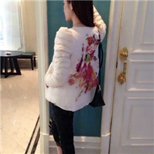 东大门冬款新款欧根纱背印花羽绒棉棉衣韩版娃娃领女式外套批发