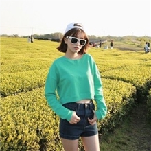 2013秋装新款韩国东大门同款崔美花俏皮短款可露脐长袖套头卫衣