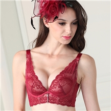 天猫货源外贸新款刺绣品牌聚拢调整型文胸厂家直销植绒性感胸罩