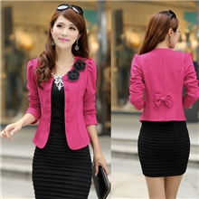 【新品汇】2013秋装新品韩版修身百搭小西装时尚开衫气质短外套