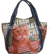 帆布包工厂现货供应小包女包，可爱便当包，小拎包个性印花棉布包