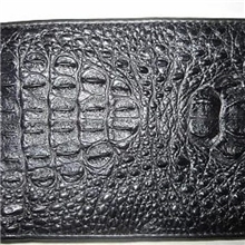 短款鳄鱼钱包，真鳄鱼皮钱包，鳄鱼养殖场直销