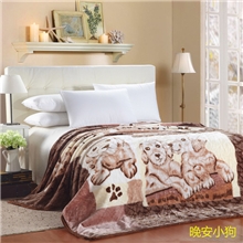 【伙拼】艾派家纺特价批发拉舍尔加厚毛毯冬季保暖床单团购礼品