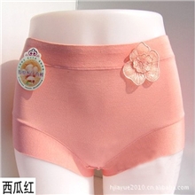 N1008中高腰胶原蛋白大码无痕女内裤批发