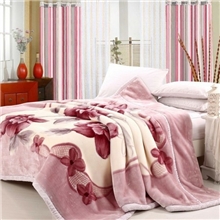 库存毛毯低价处理各种规格拉舍尔珊瑚绒法莱绒毛毯水貂绒批发