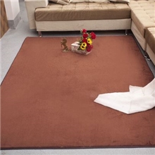 珊瑚绒地毯结婚地毯床边卧室茶几地毯儿童环保地毯毛毯批发