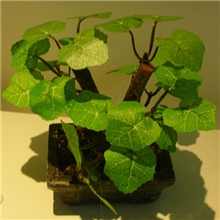 现货供应仿真植物小盆景家居装饰手感过胶仿真花B款盆栽