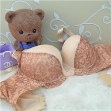 品牌文胸余货千媚微厚侧收聚拢文胸性感豹纹内衣批发一件代发