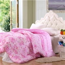 正品新品上市韩版印花冬被厂家直销质量保证