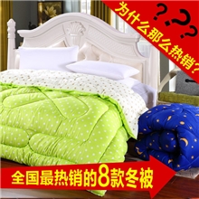 〖特价〗纤维被冬被厚保暖秋冬被羽丝绒被子南通被芯厂家批发
