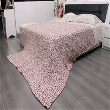 供应卡通珊瑚绒毯子批发支持一件代发